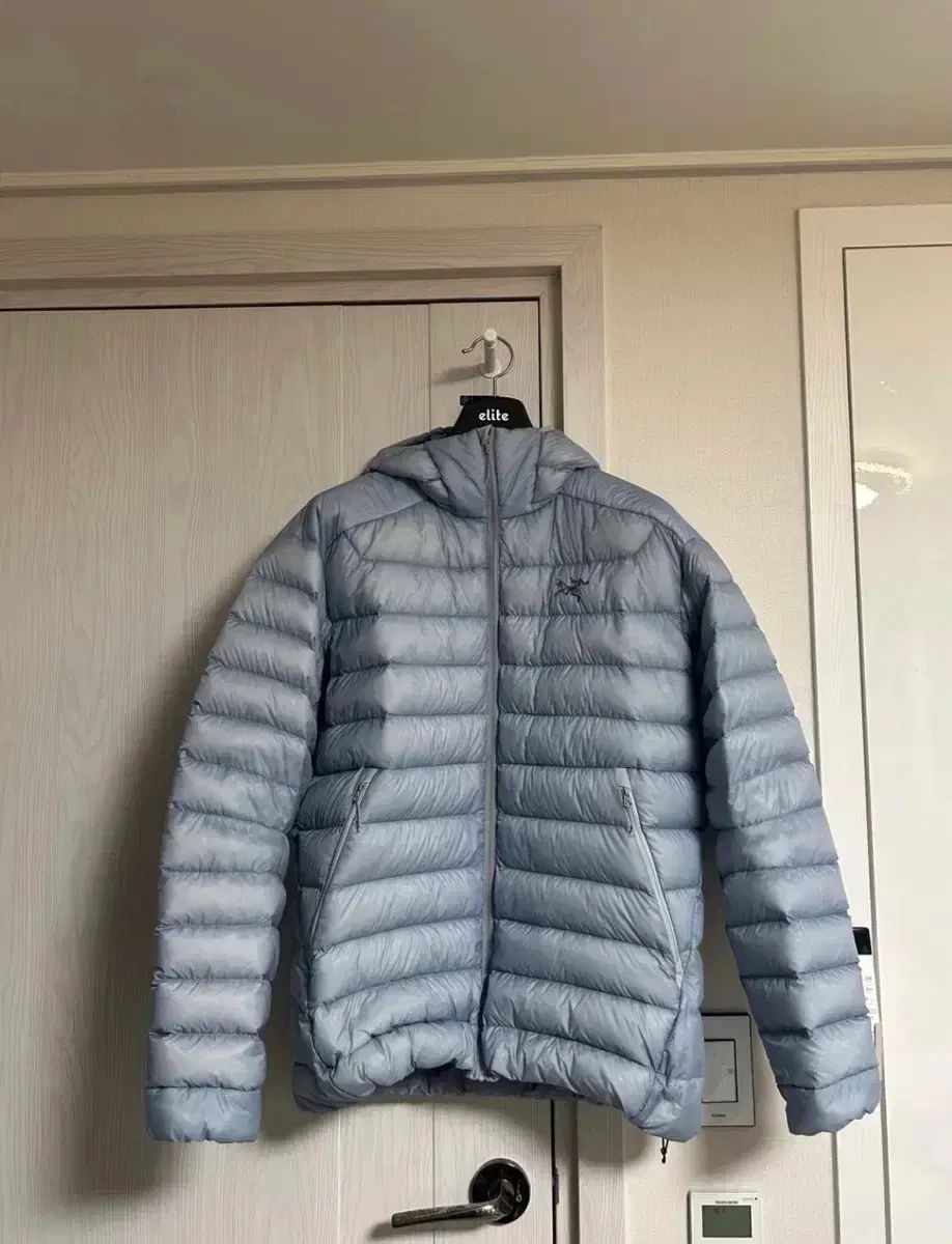 ARC TERYX Cerium アークテリクス セリウム フーディ ルーセント L 軽量ダウン