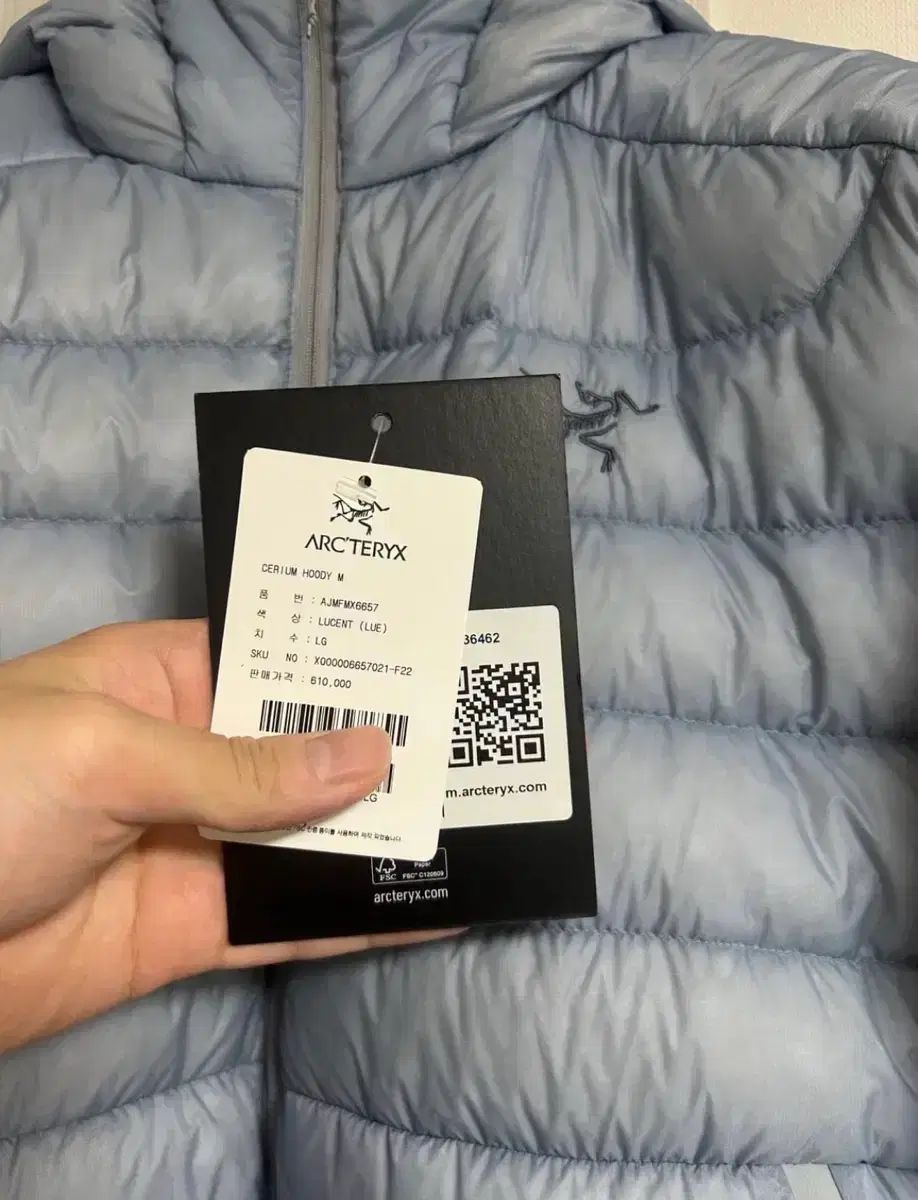 ARC TERYX Cerium アークテリクス セリウム フーディ ルーセント L 軽量ダウン