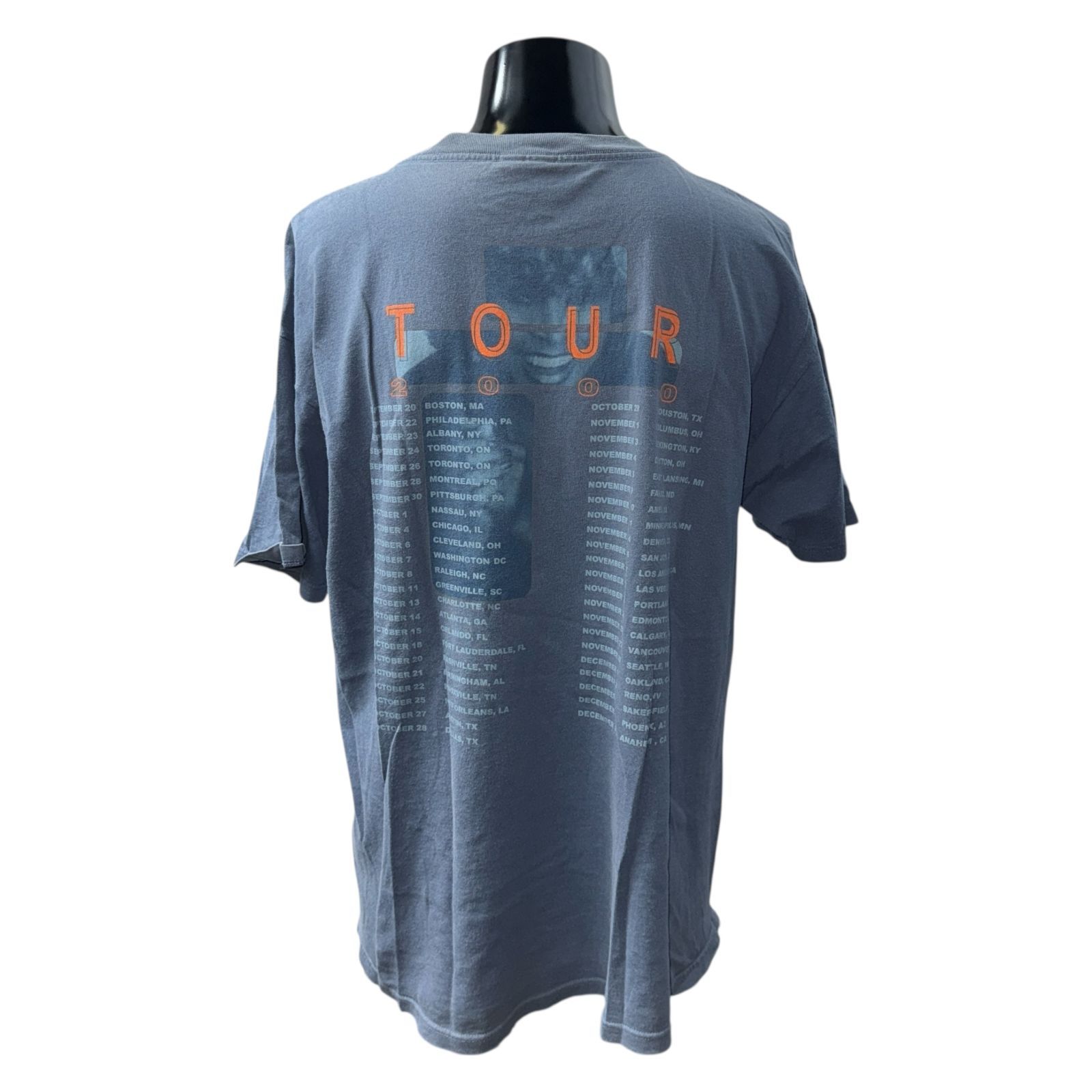 TINA TURNER】ティナ・ターナー Vintage 