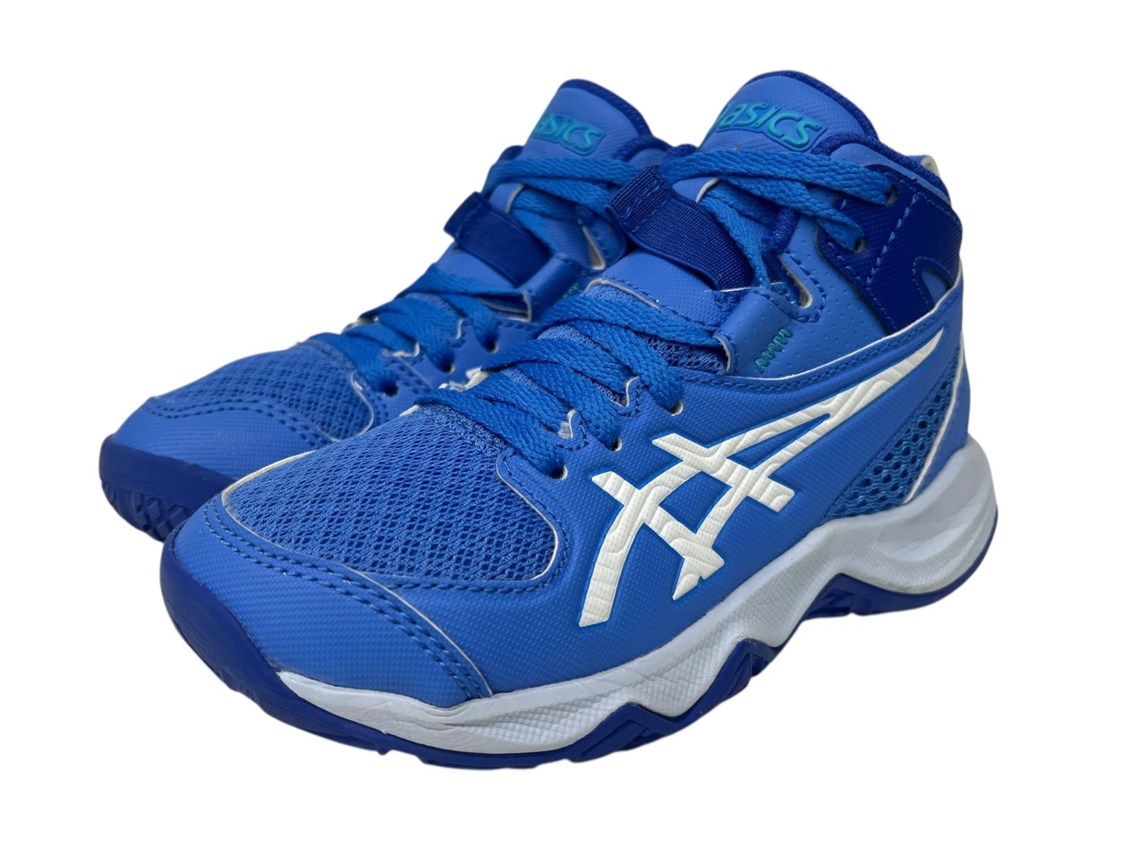 SAD 非常に希少な斑入り【コレクション株】【発根済】【作家鉢】【台湾】