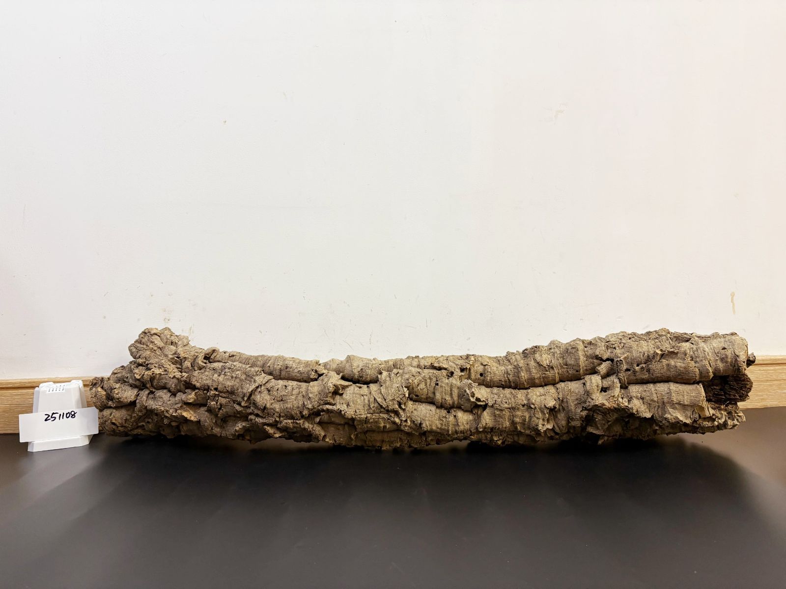 251108 ポルトガル産 キャノンコルク コルク樹皮 コルク板 バージン