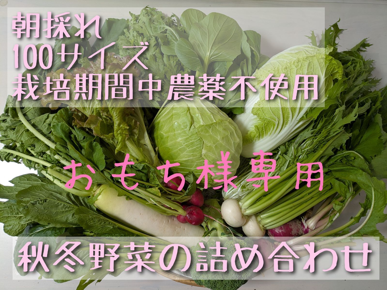 pachman パハマン COBB TUNIC コブチュニック 38