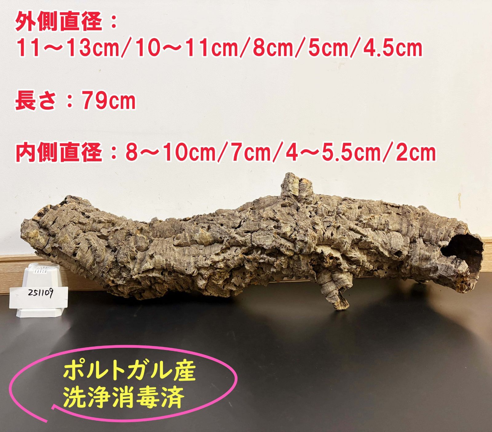 251109 ポルトガル産 キャノンコルク コルク樹皮 コルク板 バージンコルク チランジア ビカクシダ 着生ラン 両生類 爬虫類