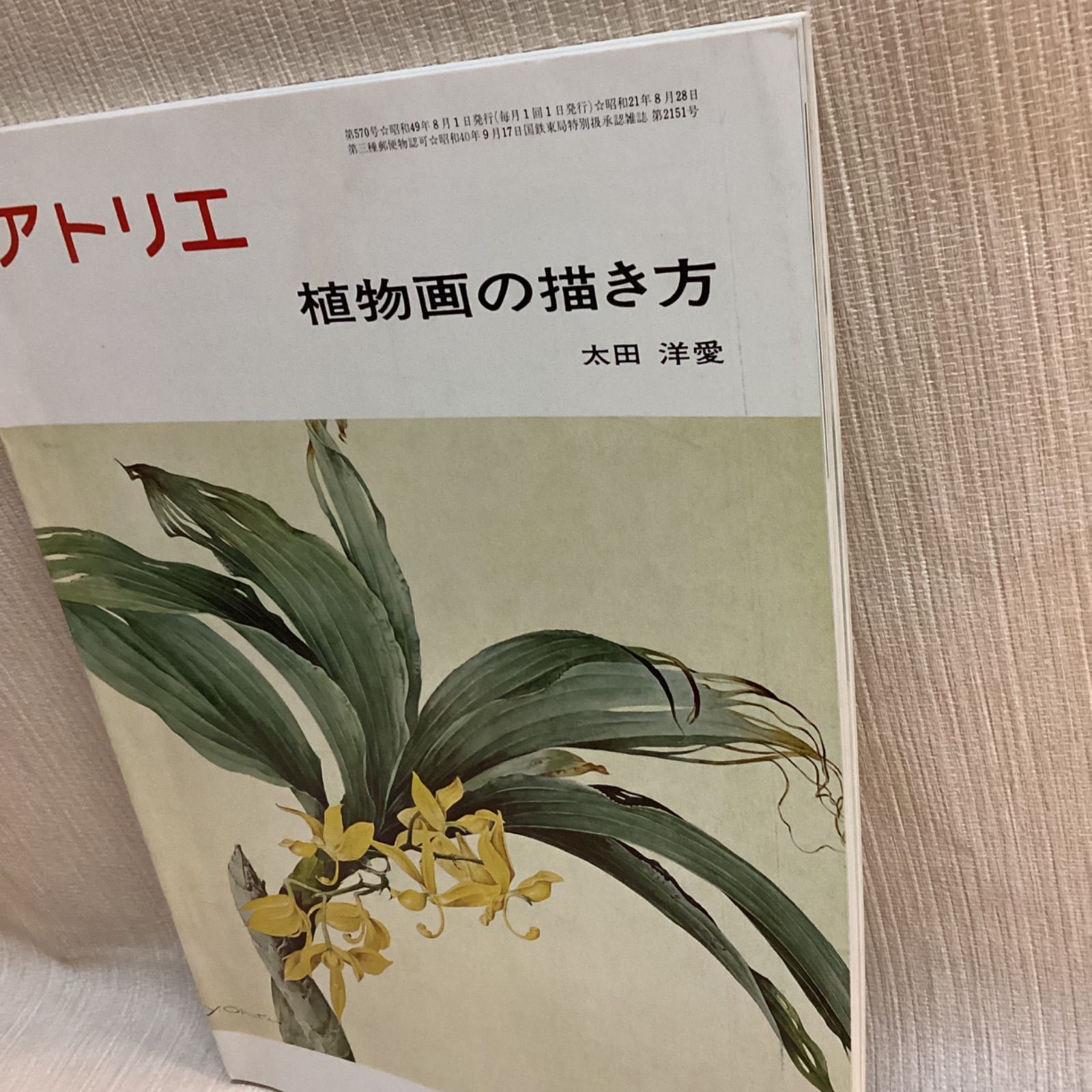 アトリエ No.570 植物画の描き方 8月号 1974年 太田洋愛 ボタニカル