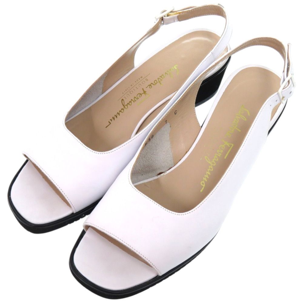 シーボルト日記—再来日時の幕末見聞記