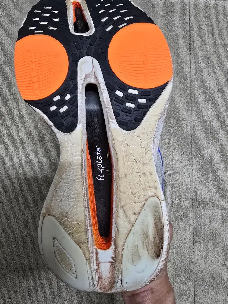 アルファフライ3 26