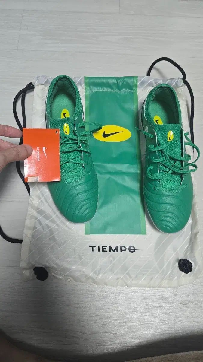 ナイキ ティエンポ レジェンド10 エリート FG LV 8 250 mm