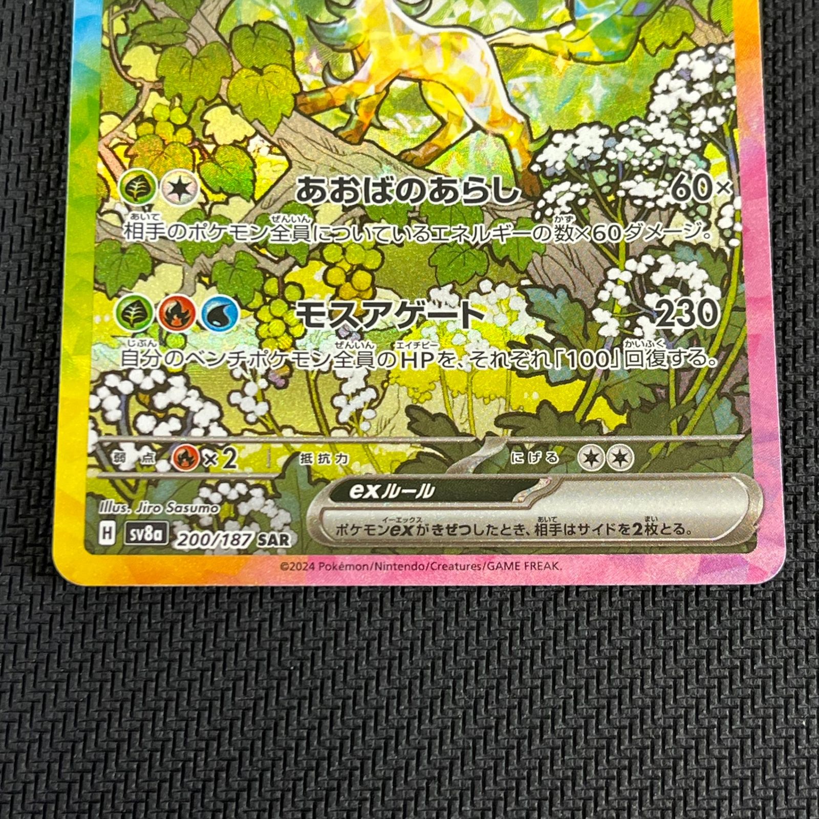 リーフィアex 　SAR 207/187 PSA10 リーフィアEX SAR リーフィアex SAR リーフィアex SAR 207/187 PSA10