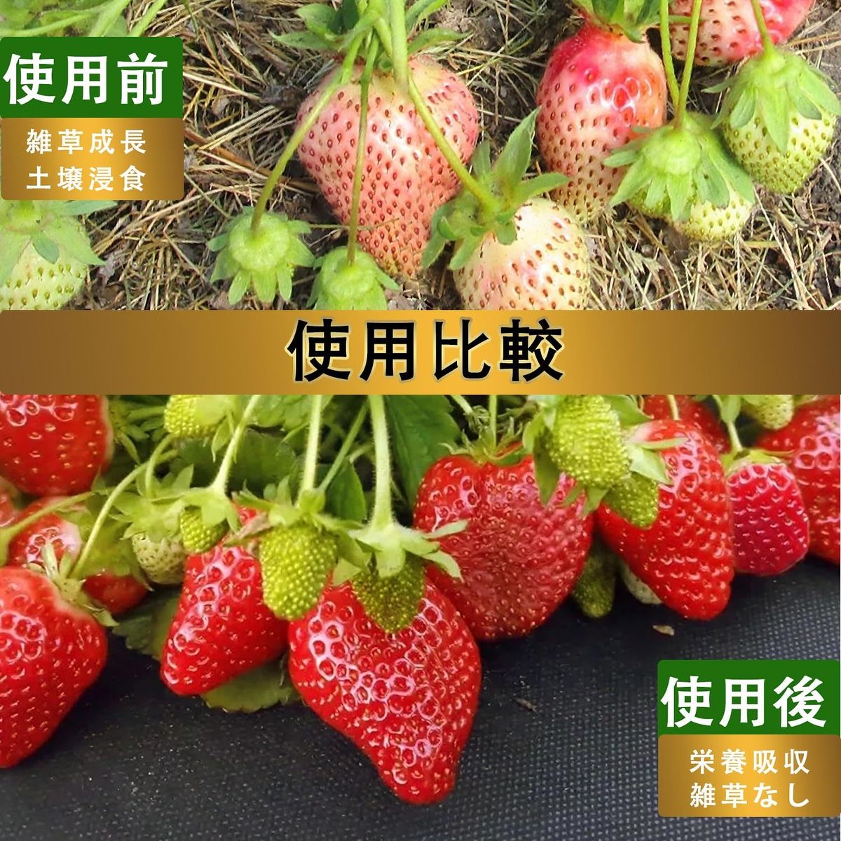 高耐久＆高遮光 防草シート 2 m 50 雑草防止シート 厚手 高密度130 g| UV耐候剤配合 紫外線劣化防止 Uピン杭|黒丸付き 園芸|工事用 雑草対策 グリーン