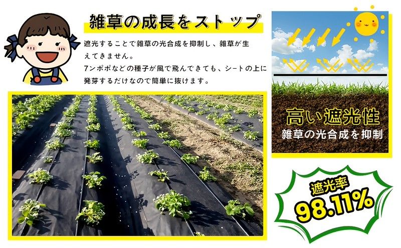 UVカット&高耐久 雑草防止シート 高透水性 硬化しない質感 人工芝|家庭菜園|庭|畑|砂利下 雑草対策に Uピン|黒丸付き 1 m 50 mUピン50本黒丸 セット