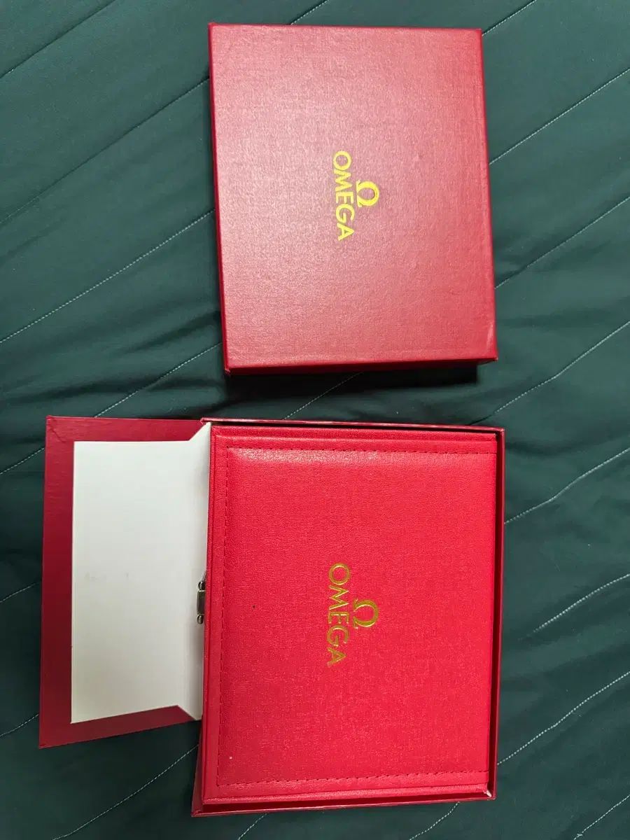 ジュネーブ Tシャツ