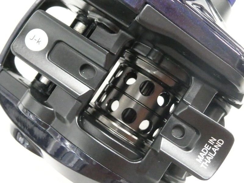  ダイワ ソルティスト BF TW 8.1 L PE 01- ベイトリール(ルアー用) リール