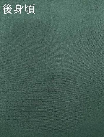 平和屋着物○伝統工芸士 吉岡肇 訪問着 ホオズキ 暈し染め 金彩 正絹