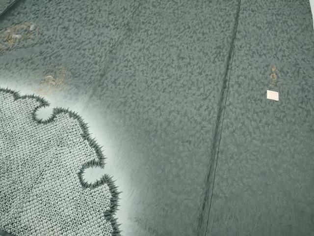 平和屋着物○訪問着 林淳一 竹屋町刺繍 雪輪花文 暈し染め 金彩 正絹