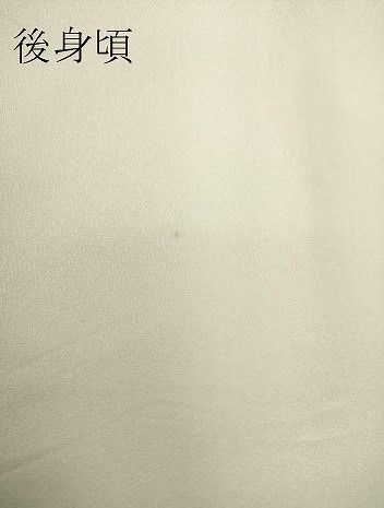 平和屋着物○谷崎潤一郎の世界 訪問着 名所風景花文 枝垂れ桜 手描き