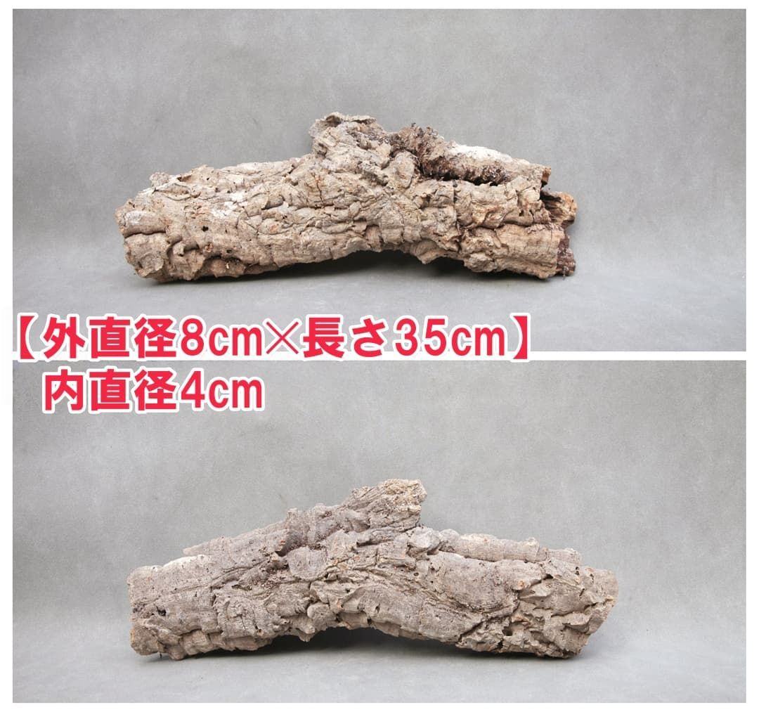 W442 ポルトガル産 キャノンコルク コルク樹皮 コルク板 バージン