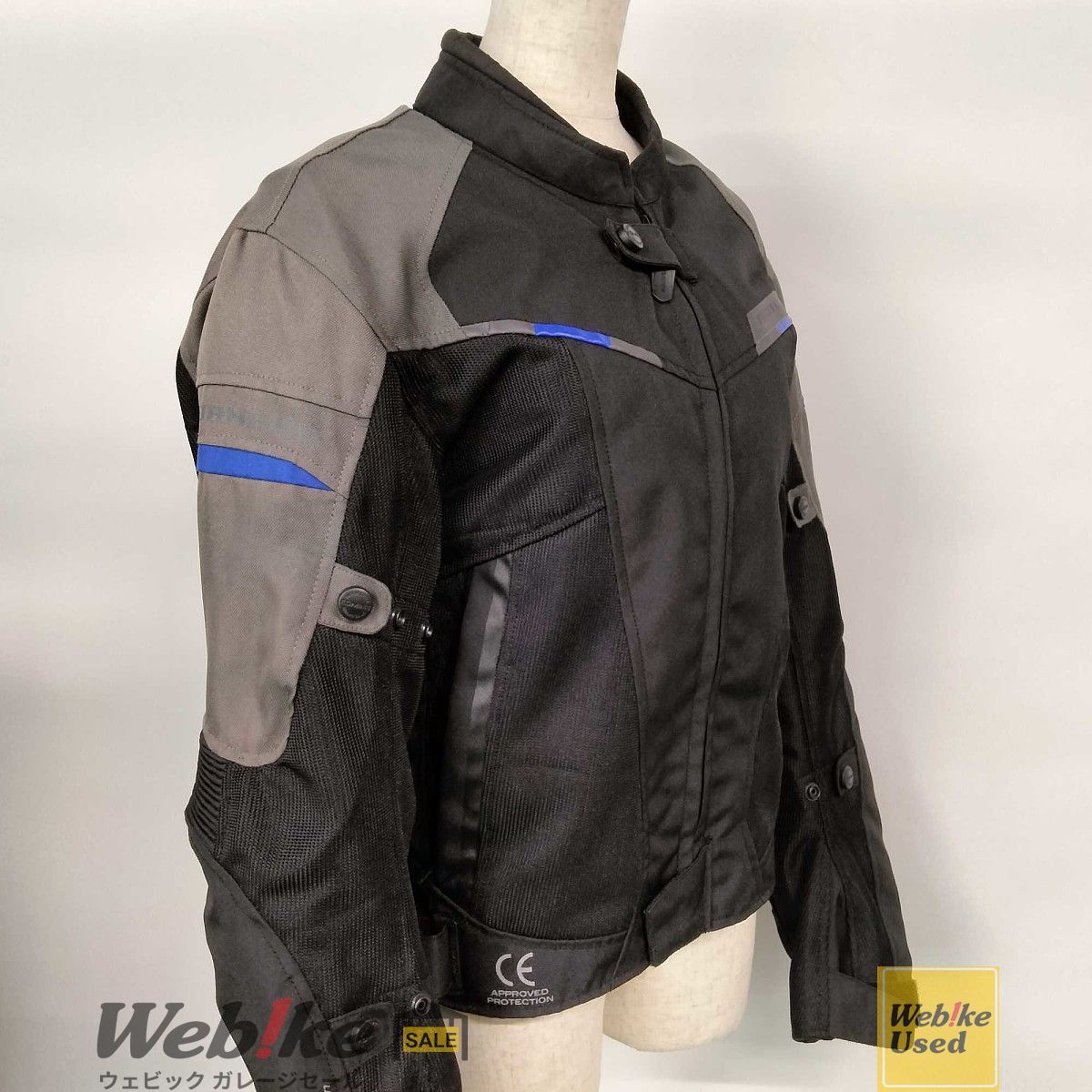 アガベ フェロックス錦 選抜株7セット❗