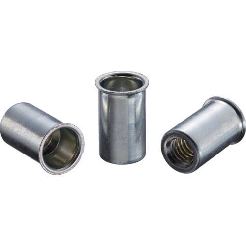 エビ ブラインドナット エビナット 薄頭 スティール製 板厚３ ２ Ｍ ０ 入