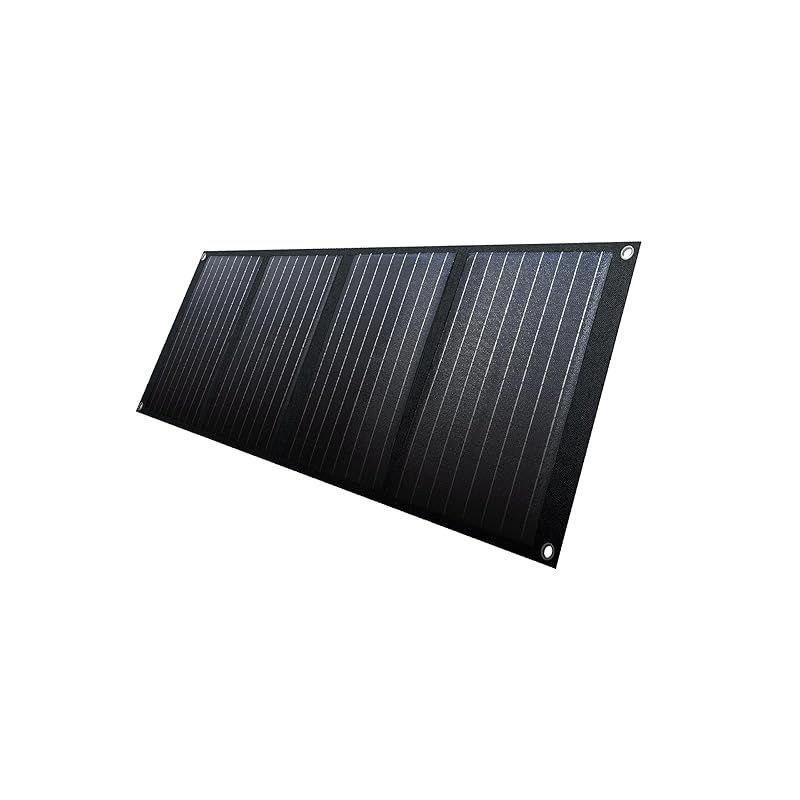 イチネンアクセス ツール事業部 SP 100 B ソーラーパネル CYGNUS S WB 0