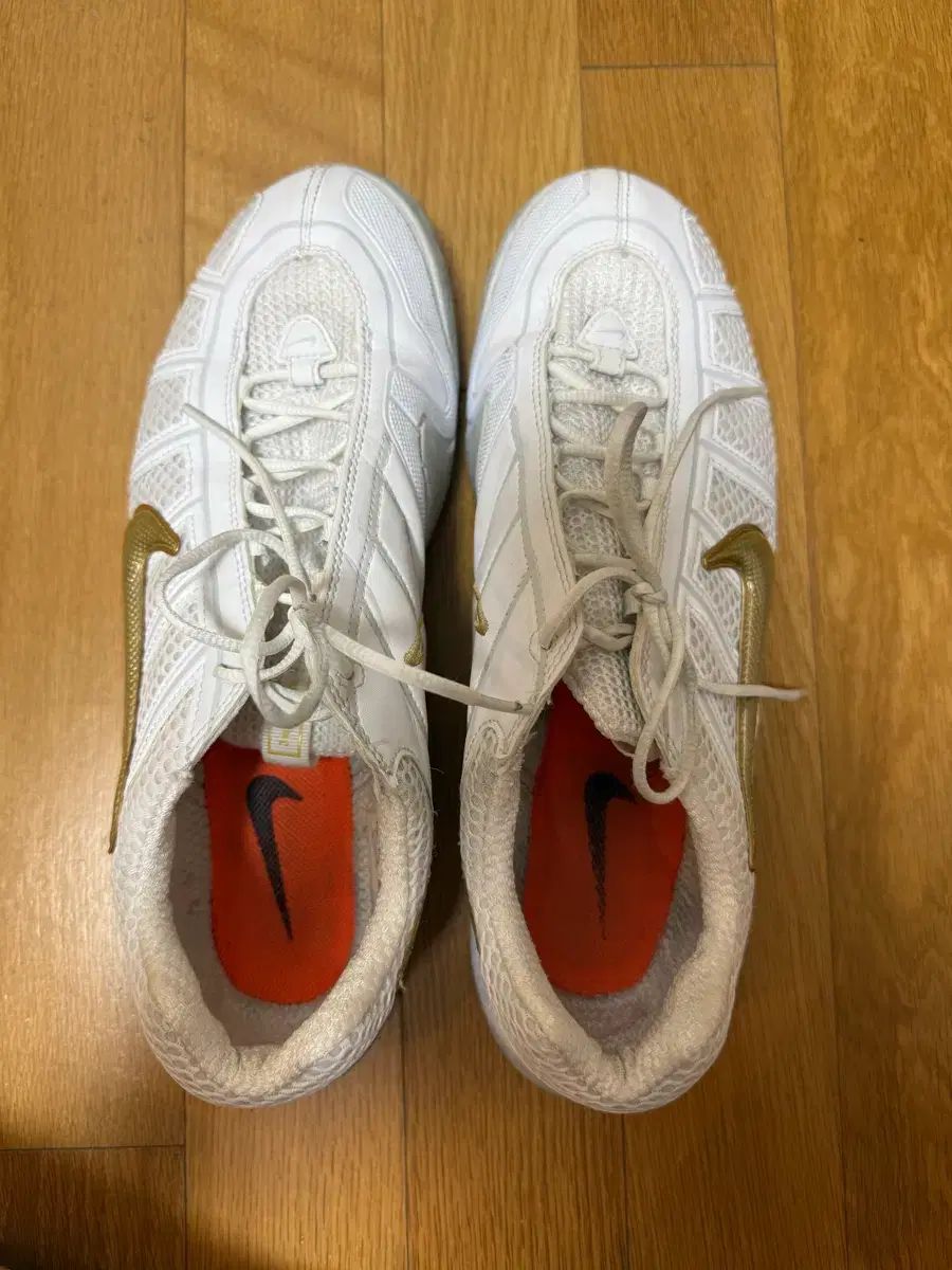 ナイキ エアズーム フェンサー フェンシングシューズ 275