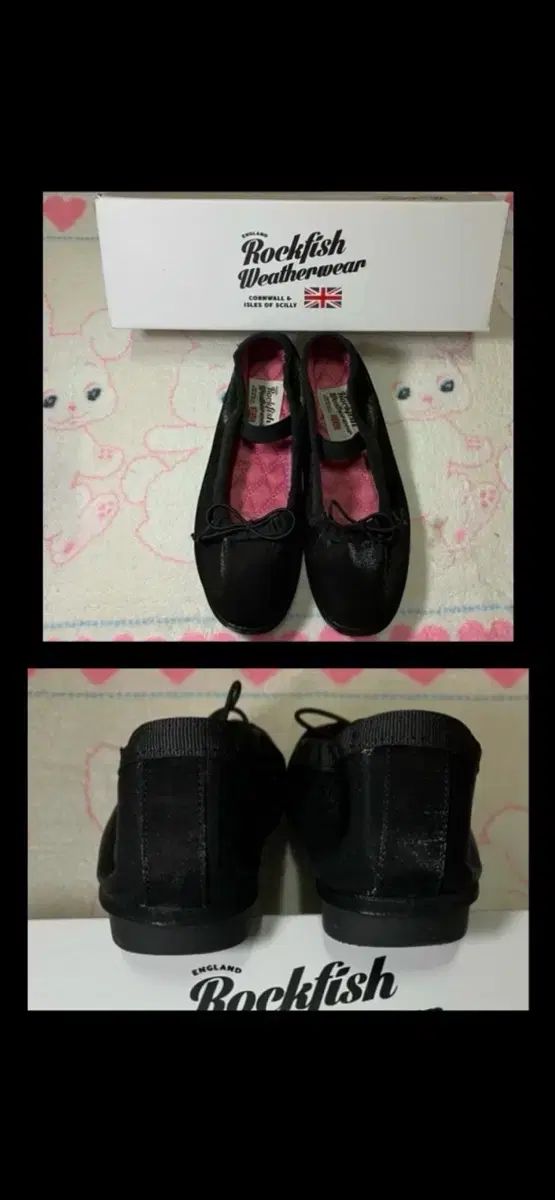 ロックフィッシュ_割引完了|迅速連絡|