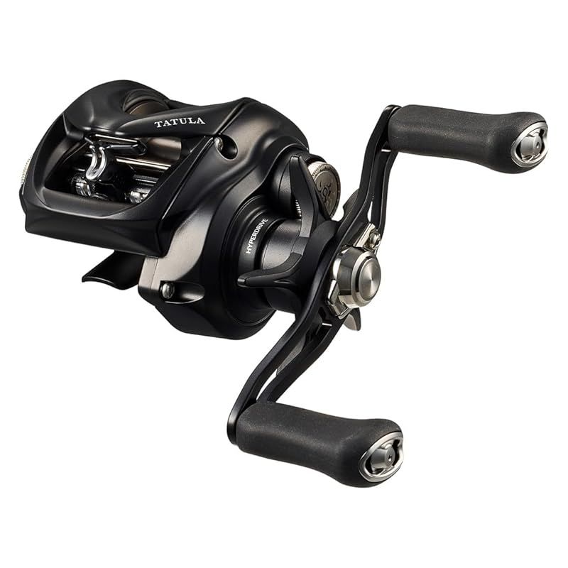 【激安大特価，人気】 ダイワ(DAIWA) ベイトリール 24TATULA TW 100L 0 スポーツ
