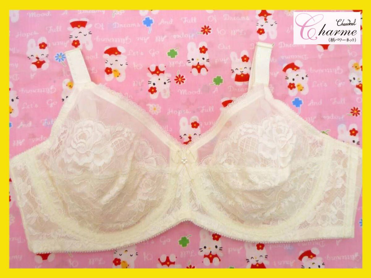 参考19800円 シャンデール シャルム 高級補正下着 ブラジャー ホワイト