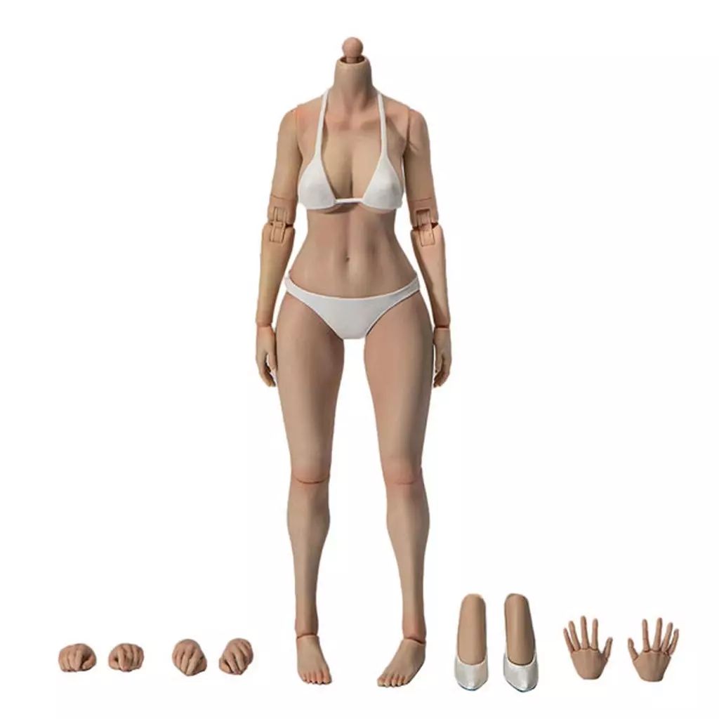 ドールアクセサリー 1|6 ナローショルダー フィメールボディ ラージバスト ライトウィートスキン