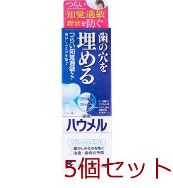 薬用ハミガキ ハウメル フレッシュミント 100g 5個セット