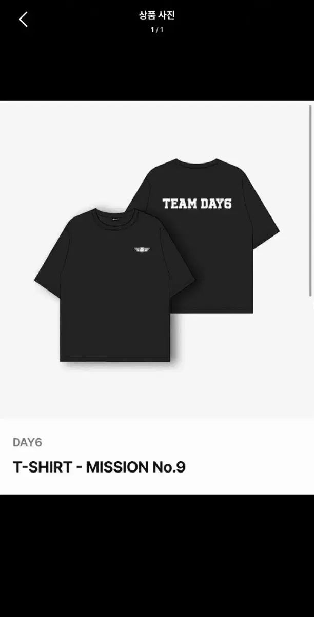 チームデシック Tシャツ ♥商品