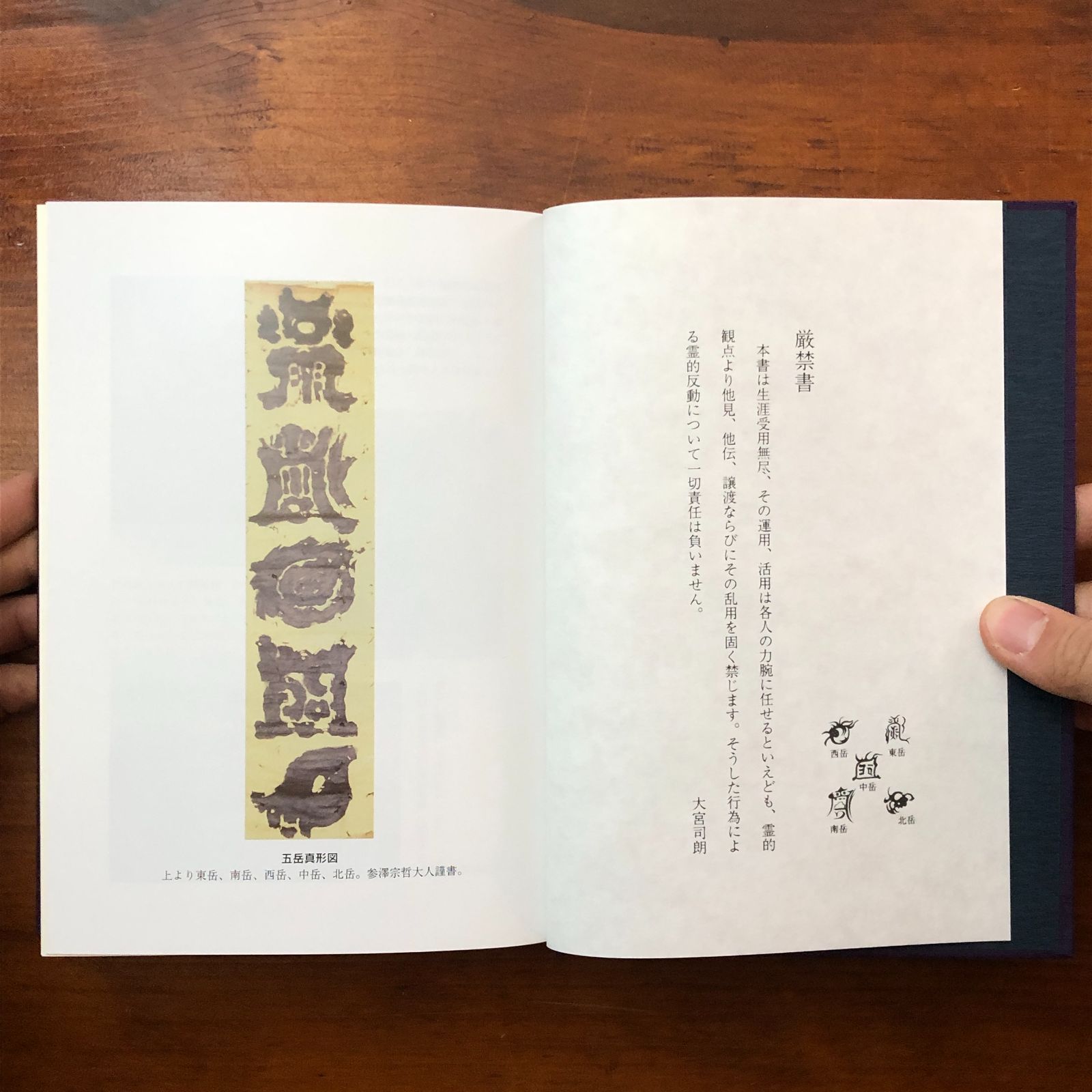 本 霊視使魂念感 玄想法秘儀 大宮司朗 八幡書店 平成5年6月9日 初版
