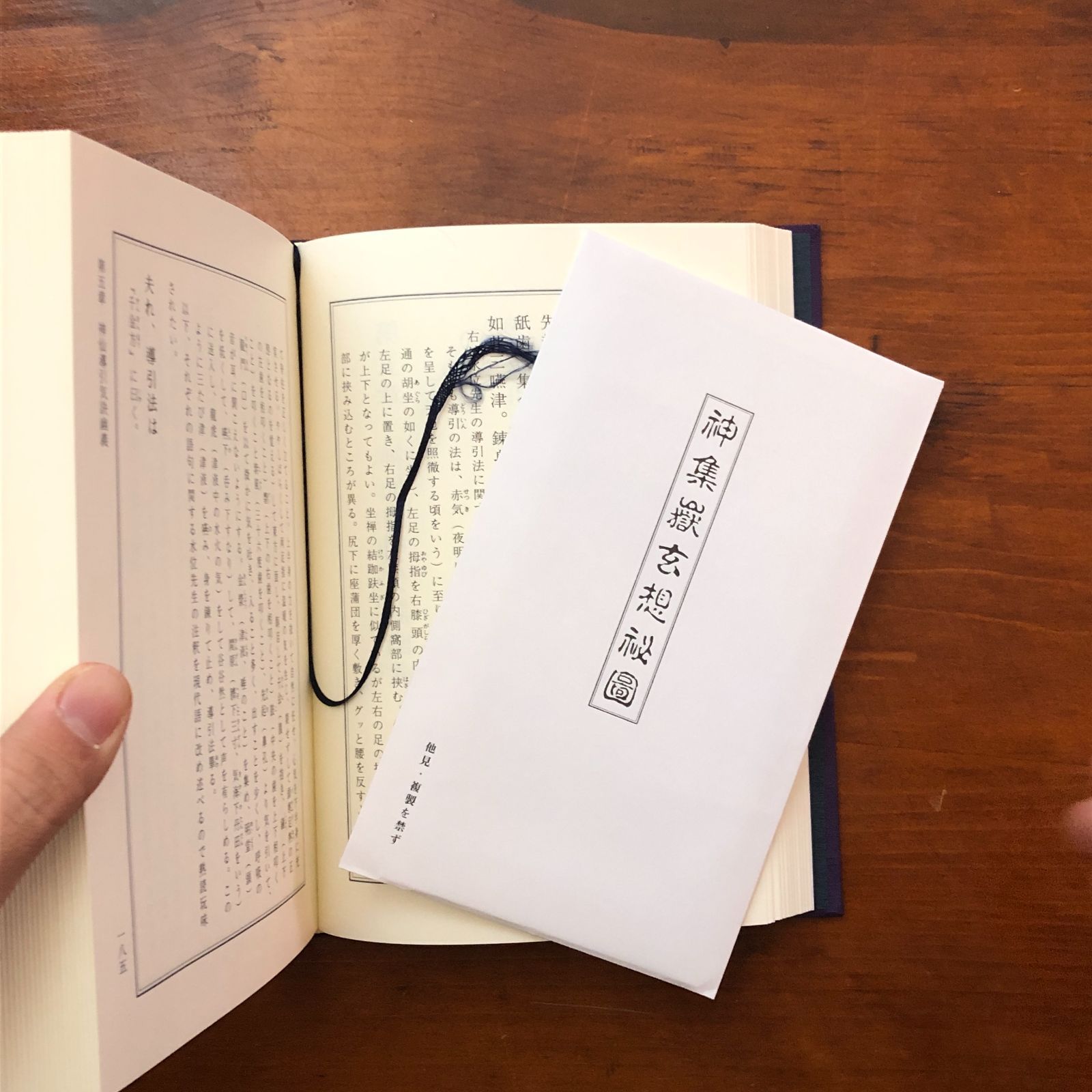 本 霊視使魂念感 玄想法秘儀 大宮司朗 八幡書店 平成5年6月9日 初版
