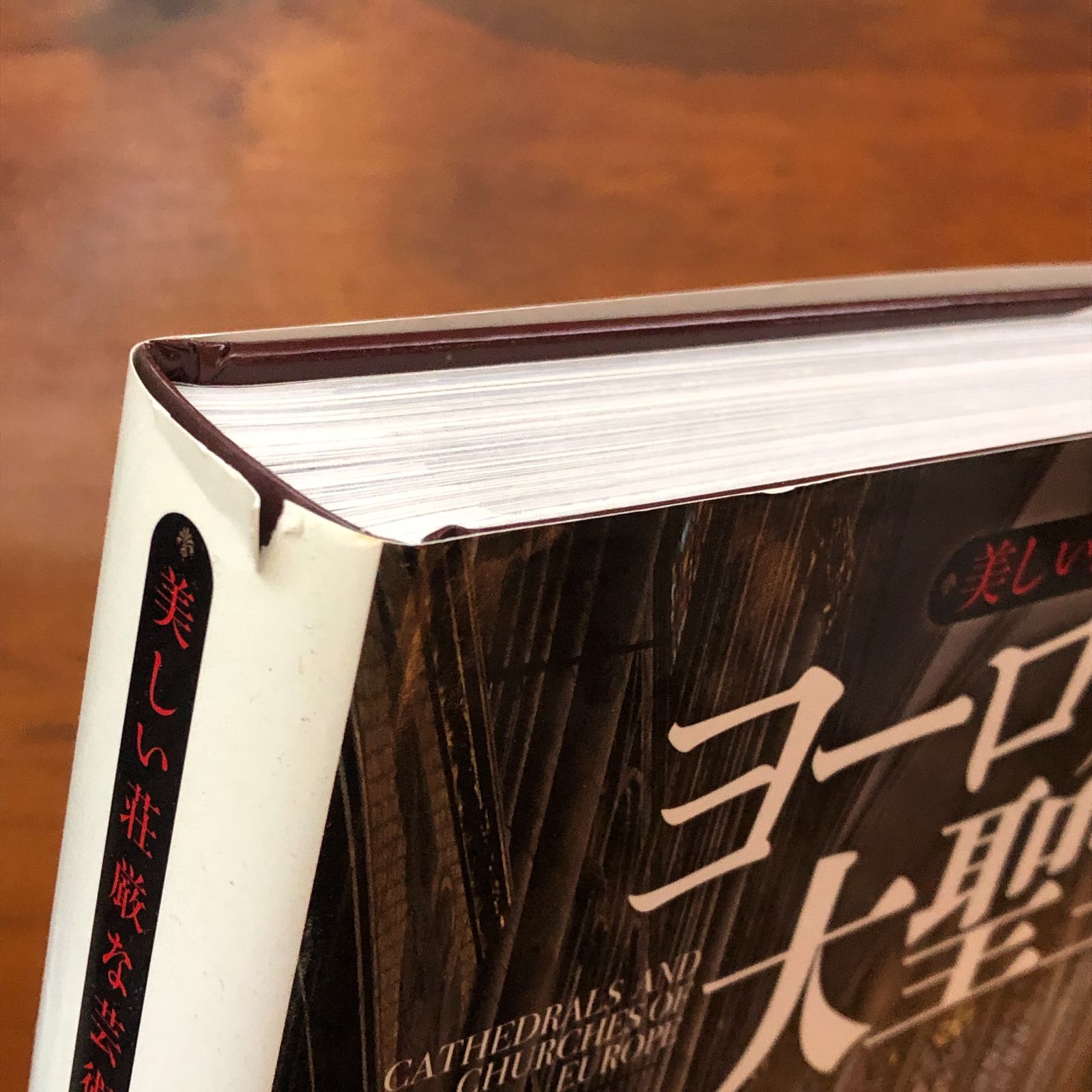 美しい荘厳な芸術 ヨーロッパの大聖堂 ロルフ トーマン 編 アヒム ベドバルツ 写真 バル ボルンゲッサー 文 河出書房新社 2017年 30日 初版発行 建築 ゴシック建築 宗教建築 美術書 ヨーロッパ文化 教会建築 ee 16ろynm 1