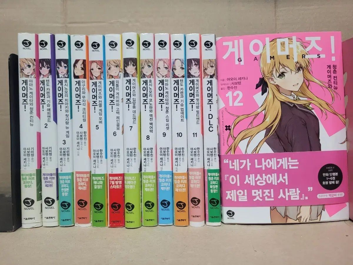 ゲーマーズ 小説 全巻セット 1〜12巻 完結 1 jノベル 用