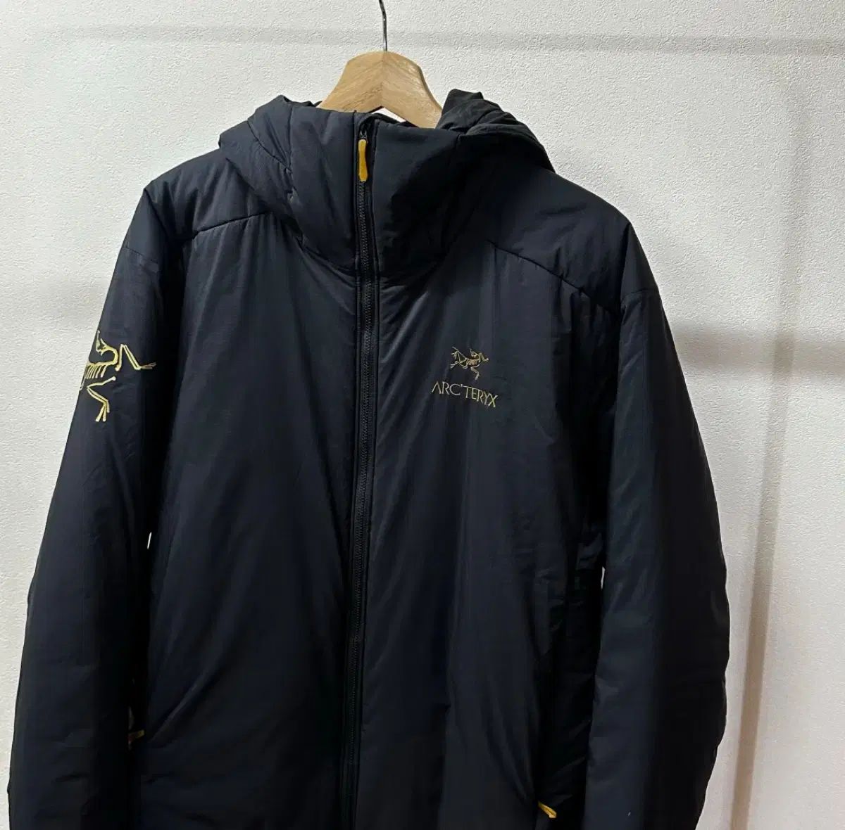 アークテリクス ビームス アトム ジャケット A 850