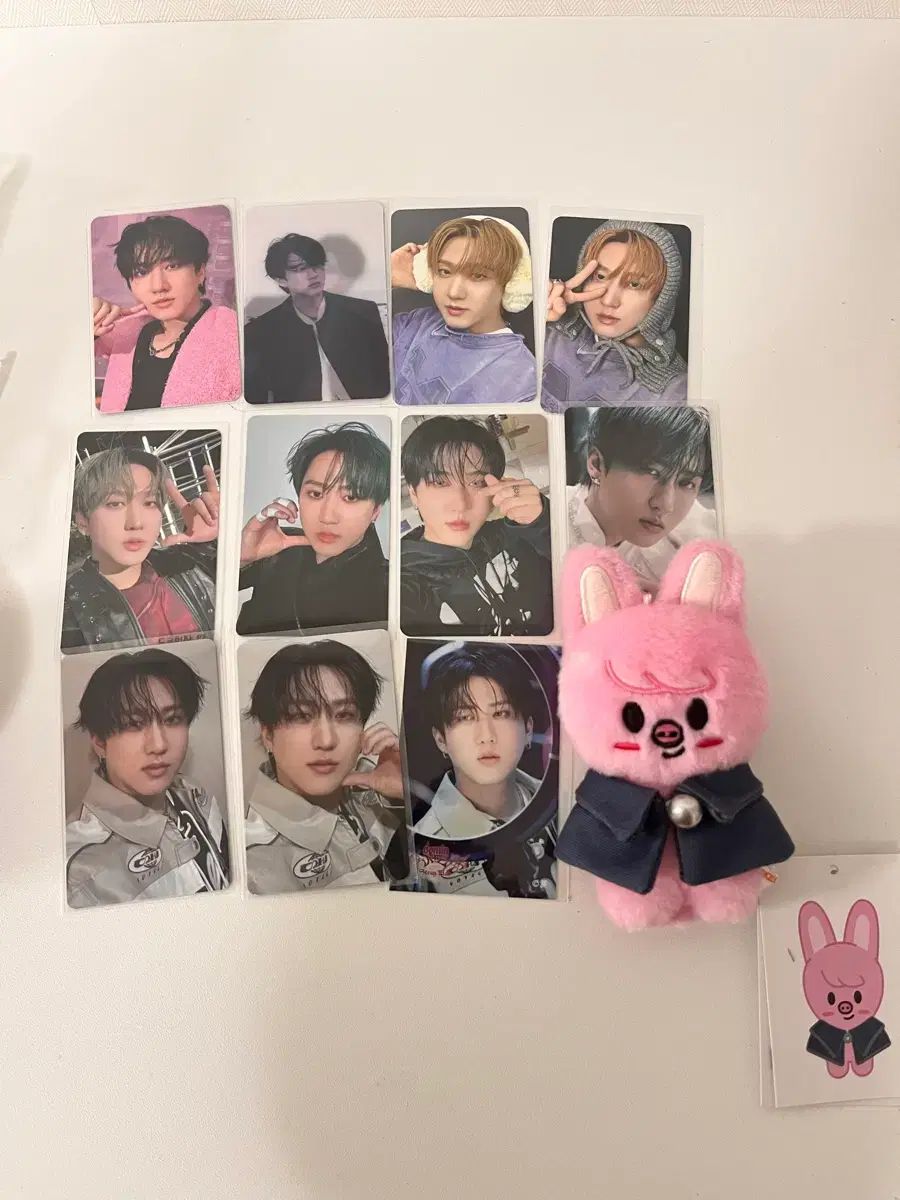 SKZOO DWAEKKI トゥエッキ Stray Kids ストレイキッズ スキズ SKZ チャンビン CHANGBIN