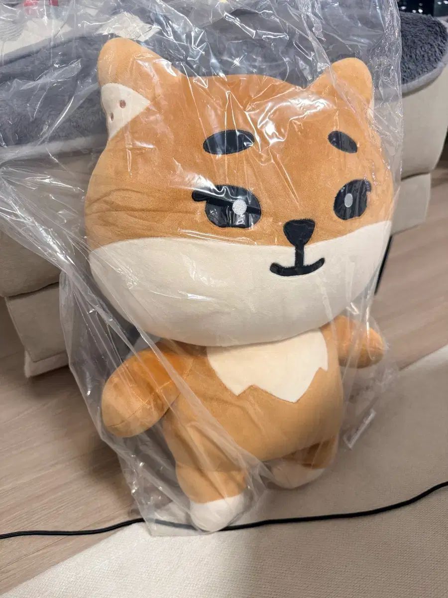 DAY 6 デイシックス ジャイアント デニマルズ DENIMALZ