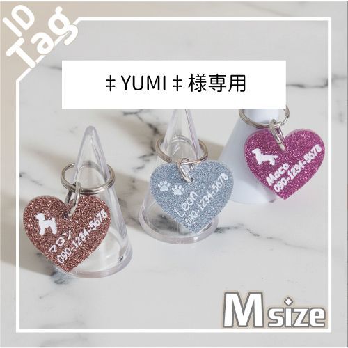 Yumi 様専用 オーダーメイド作品.専用 ゆみぽち様]チャーム