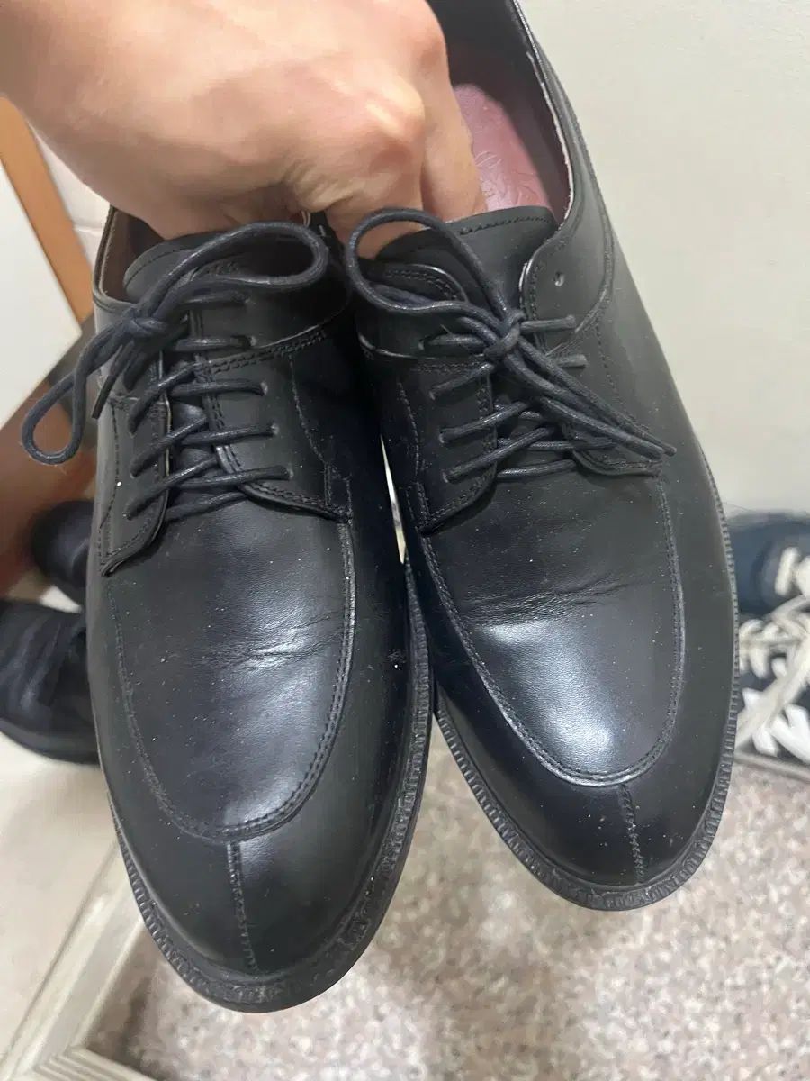 MOVE マンデー uチップ 255