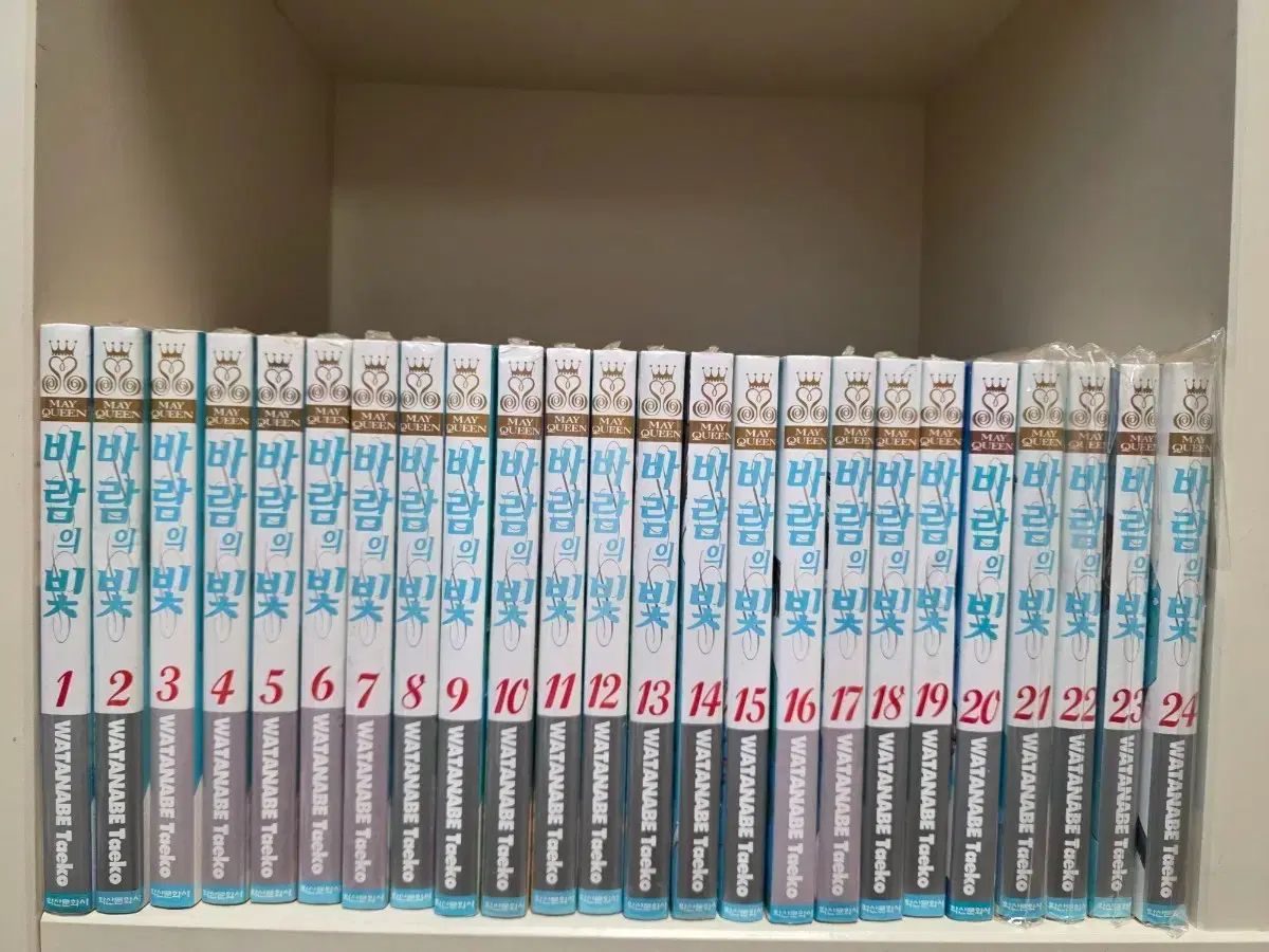 極美品・現行✨ジルサンダー ダブルコットンショートパンツ ブラック