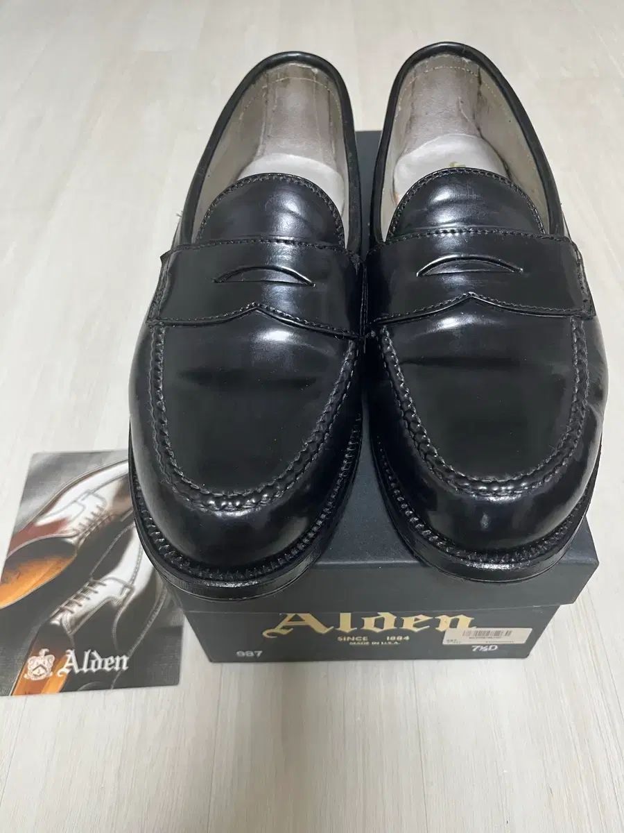 ALDEN 987 コードバン 7 5