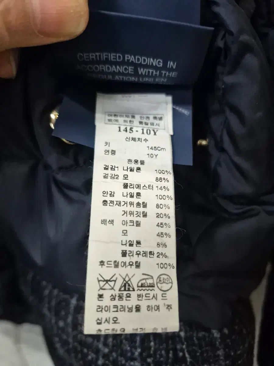 145 グースダウン