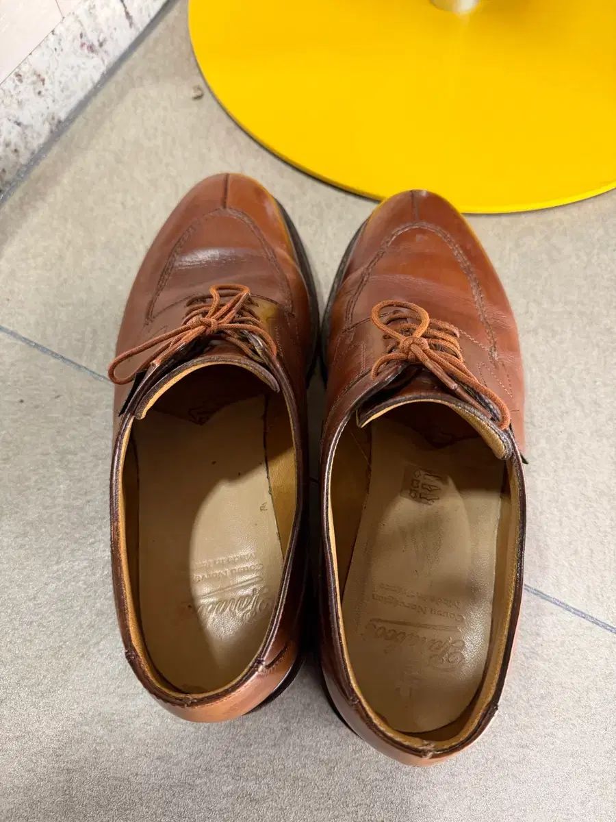 パラブーツ アビニョン マルーン 7 5