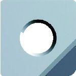 富士元 フェイス加工用Ｓタイプ精密級チップ ＤＩＡ