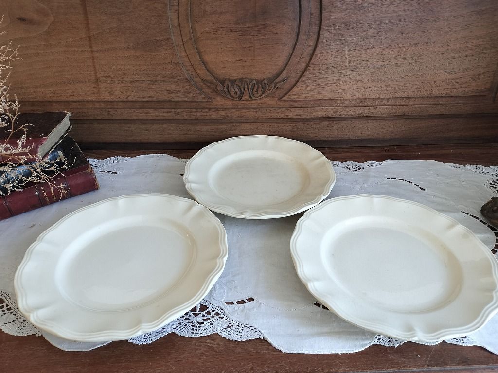 フランス アンティーク 花リム 皿 セット サルグミンヌ 22 5 cm