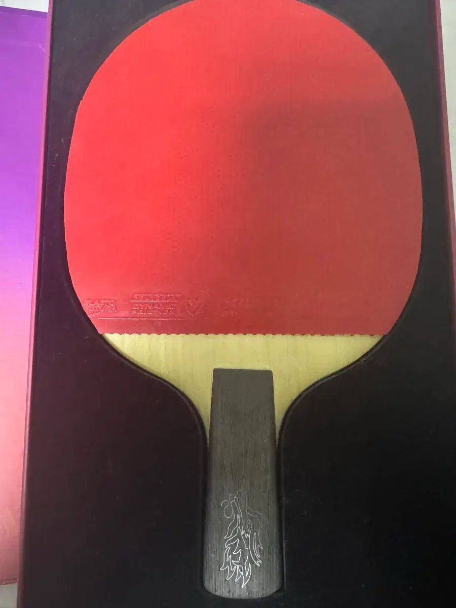 DHS王中中中国式 ファンホルダー その他 卓球 スポーツ