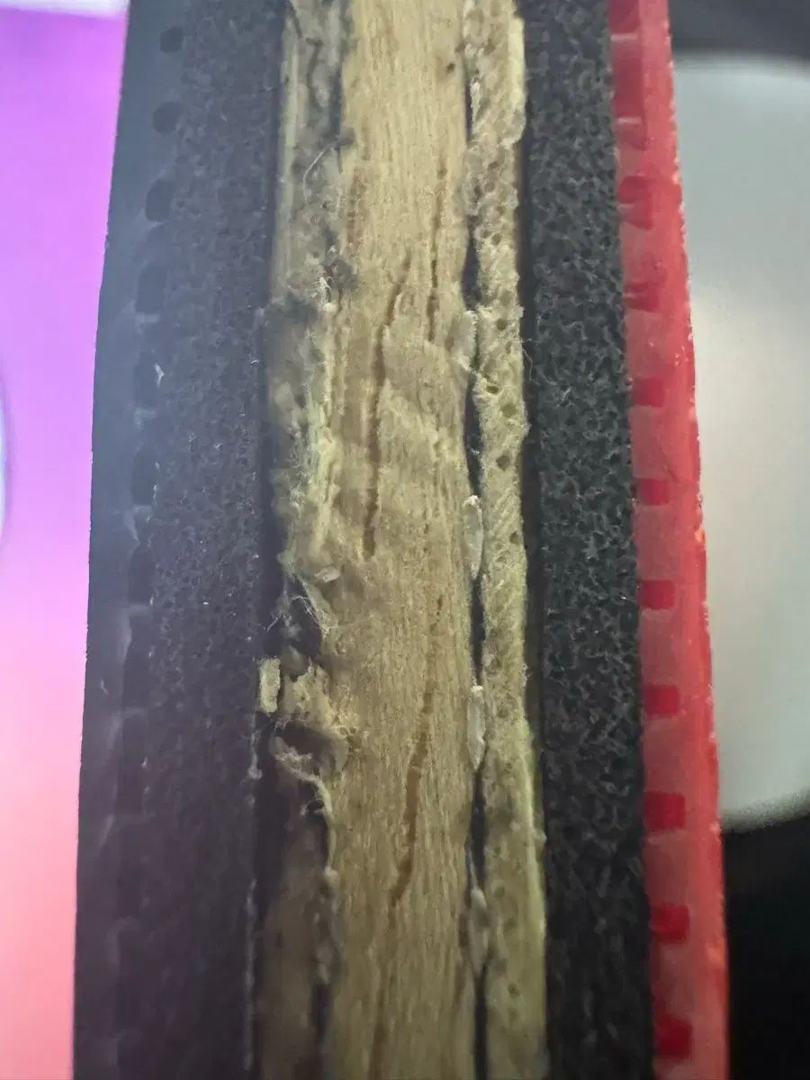 ファンホルダー