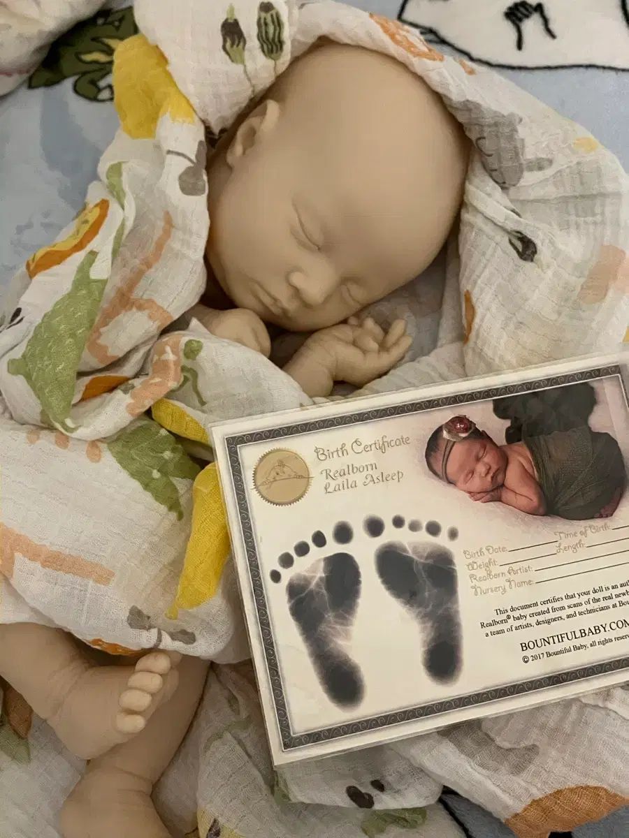 リーボンドール ライラ キット