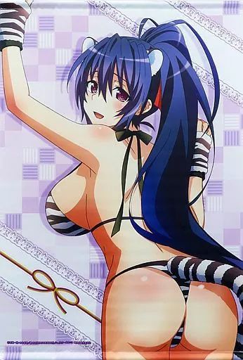 タペストリー 姫島朱乃 Happy 乳 Year 2025 ver B 2タペストリー くじ引き堂 ハイスクールD D HERO ～Happy 2025～くじ A 2賞