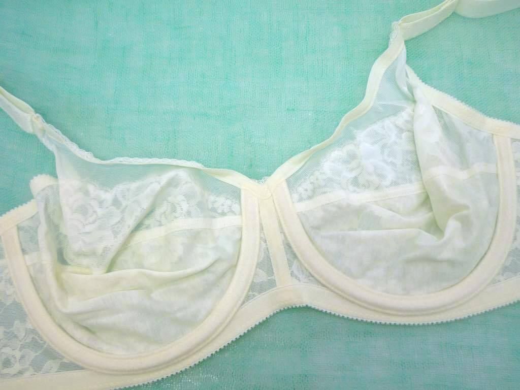 参考19800円 シャンデール シャルム 高級補正下着 ブラジャー ホワイト